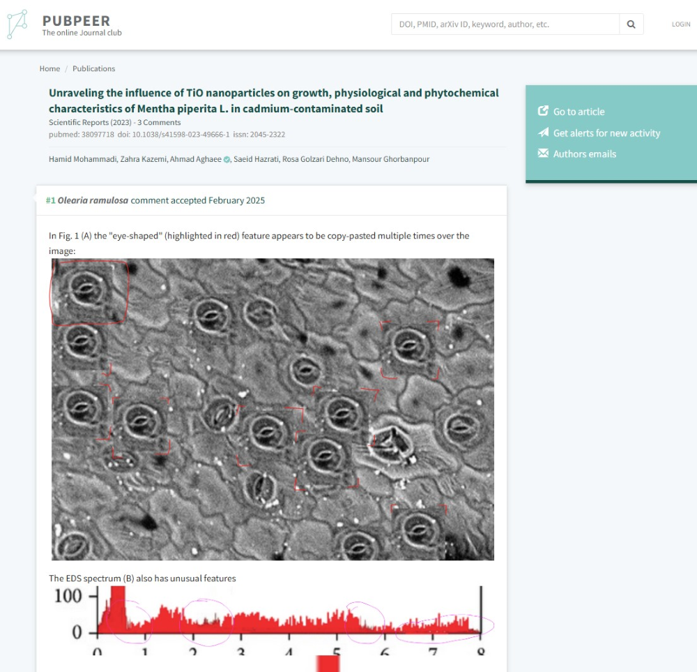A screenshot of an example of a PubPeer post, in this case flagging apparent duplication within an image