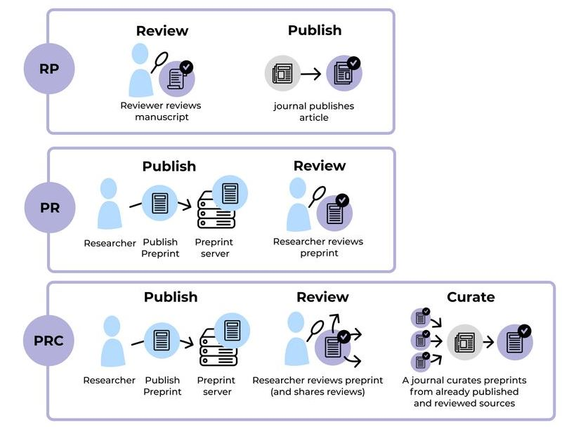 a diagram comparing three review and publication processes