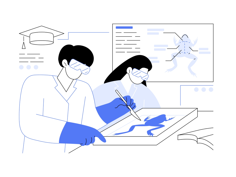 Illustration of two veterinary students dissecting a frog while a screen displays anatomy information behind them. 