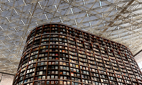 Photograph of a large, curved bookcase, reaching up toward a ceiling made of a metal grid, through which the sky appears