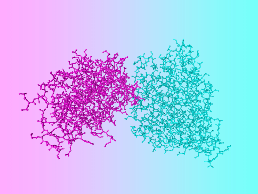 A molecular model consisting of two clusters of linked segments, in two different colors