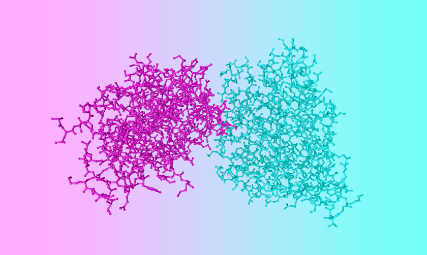 A molecular model consisting of two clusters of linked segments, in two different colors