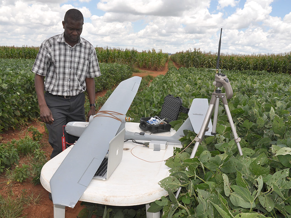 A photo of a man standing in a field of crops looking down at an unmanned aerial vehicle next to a laptop. 